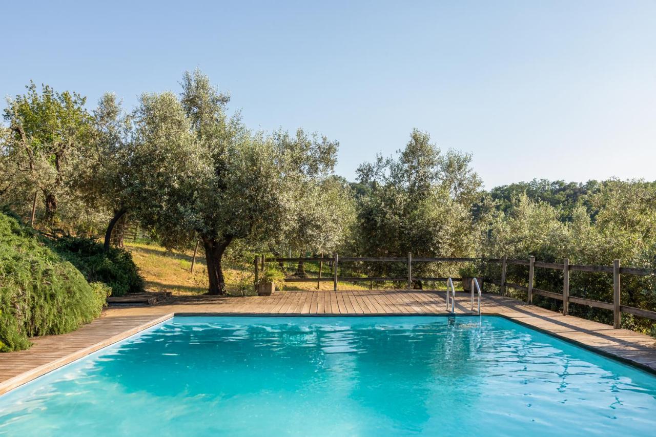 Alpaca Country House - 4