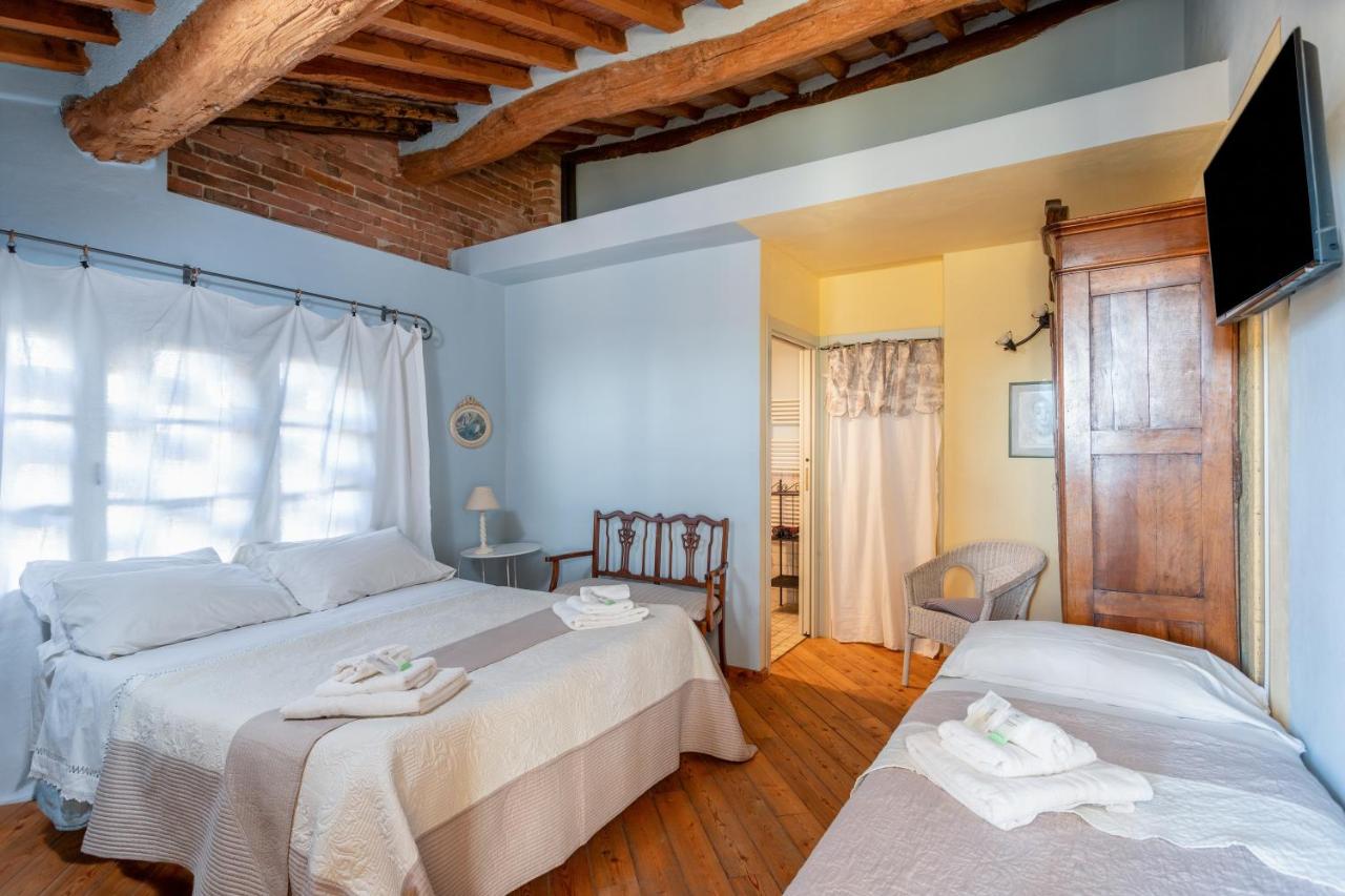 Alpaca Country House - 2