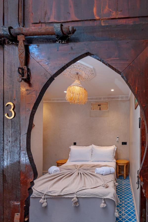 Riad Akkioui - 2
