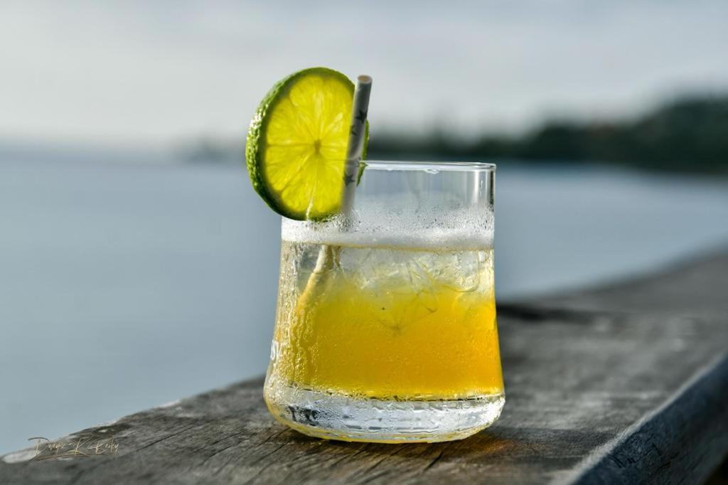 Apt Near Devon - Kingston- POOL- B306 FIWI - 3