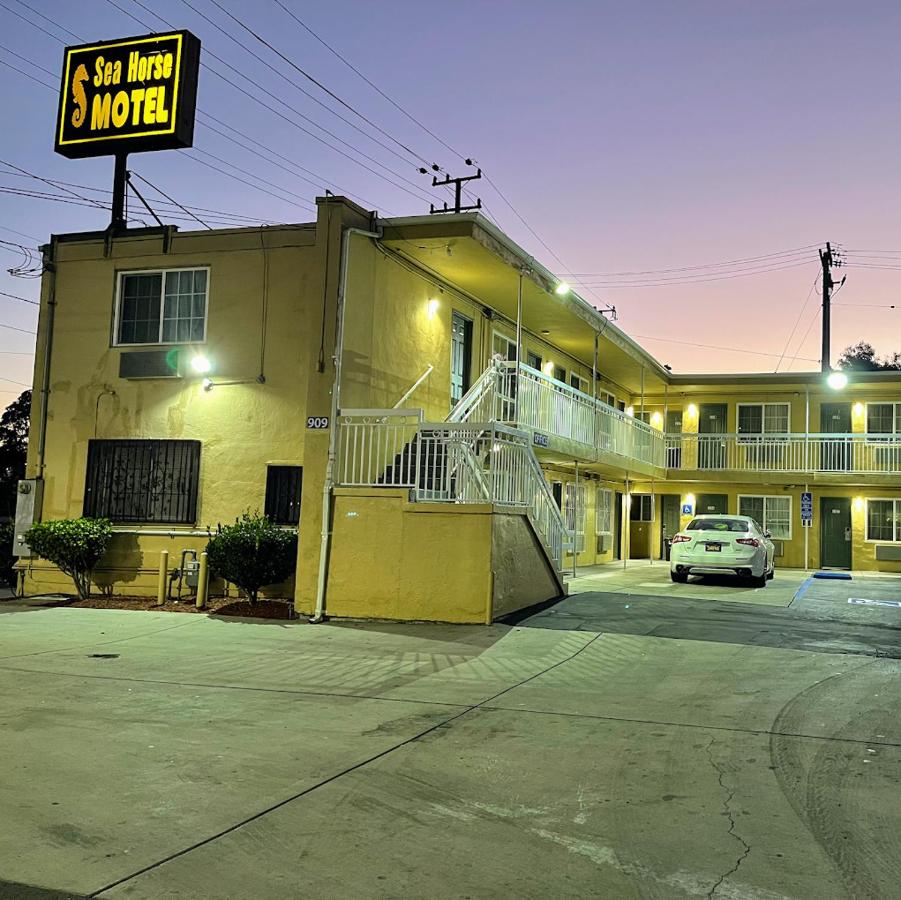 Seahorse Motel — photo 2