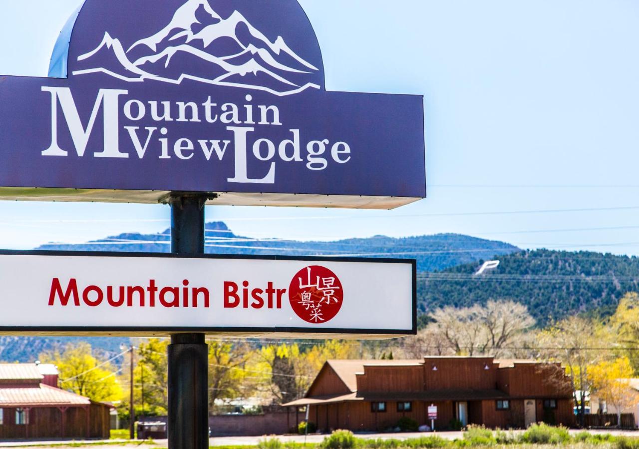 Mountain View Lodge — photo 11
