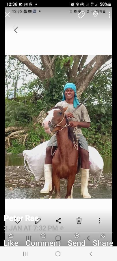Turtle Campervans Fiji - 3