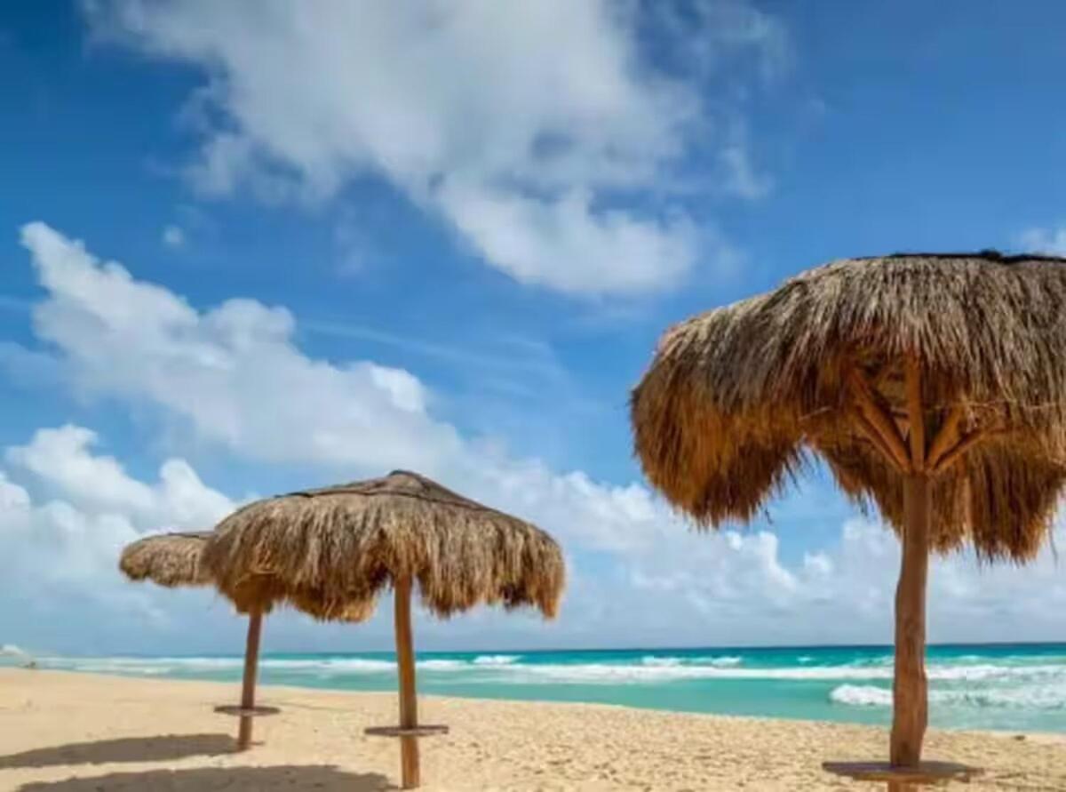 Despierta Frente a la Laguna - 2