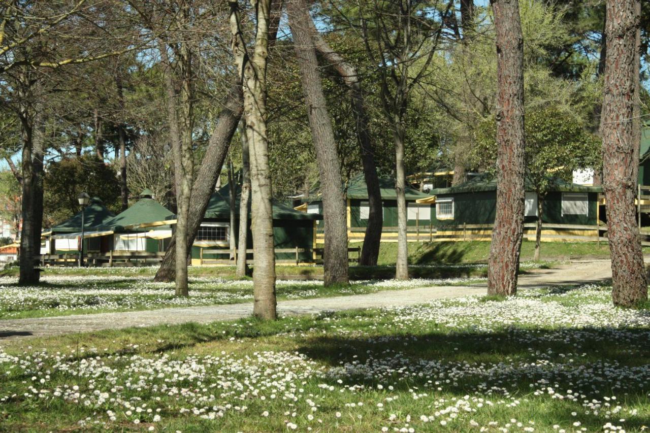 Camping El Rosal (España San Vicente de la Barquera ...
