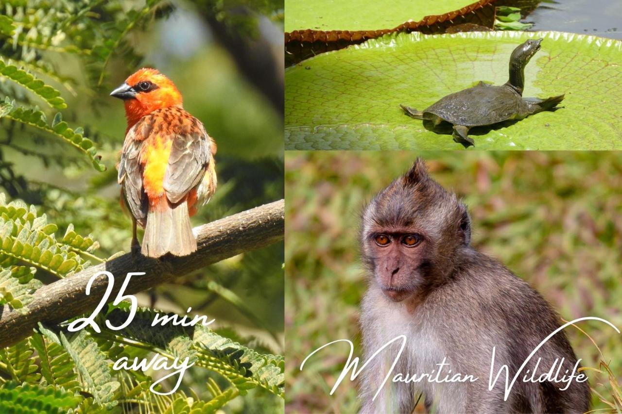 Sky escapade two rooms apartment - 2