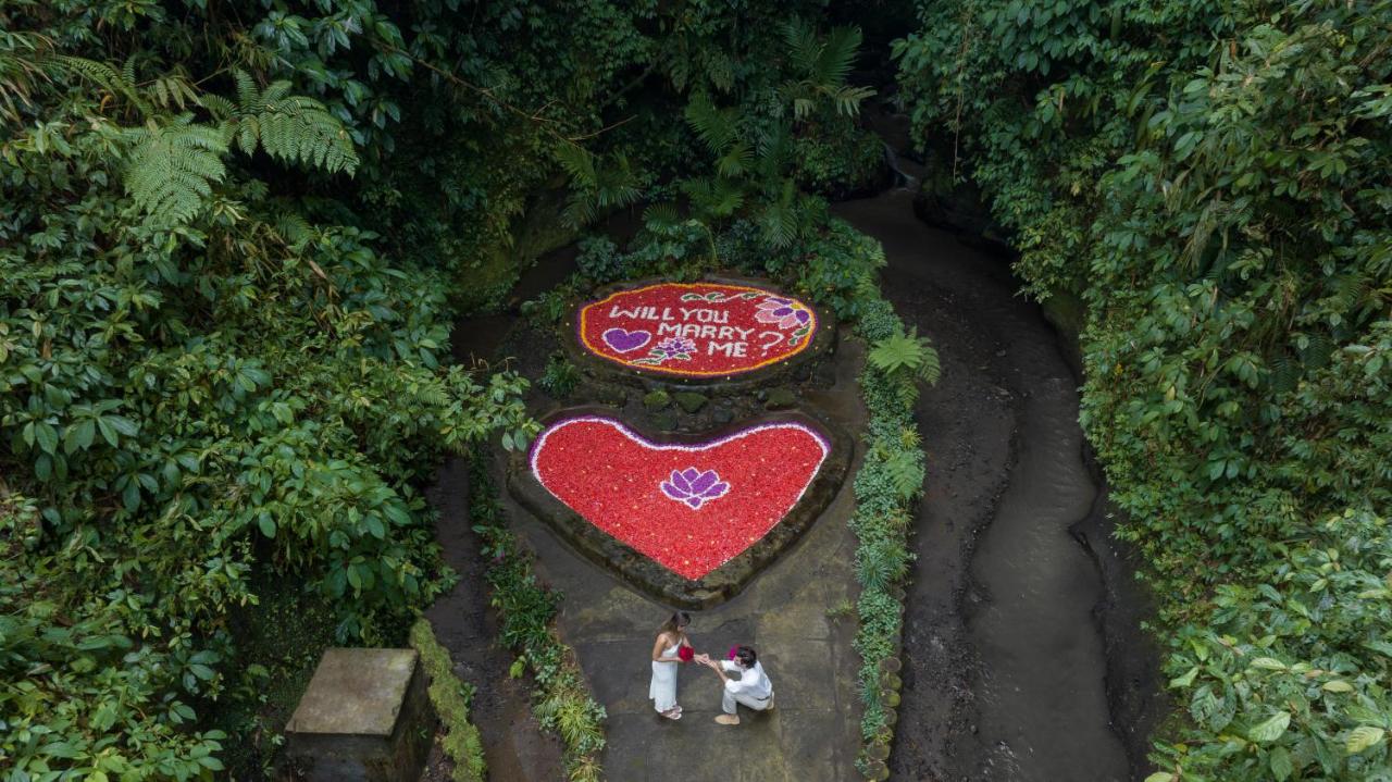 Sacred Valley by GenuineHost - 5