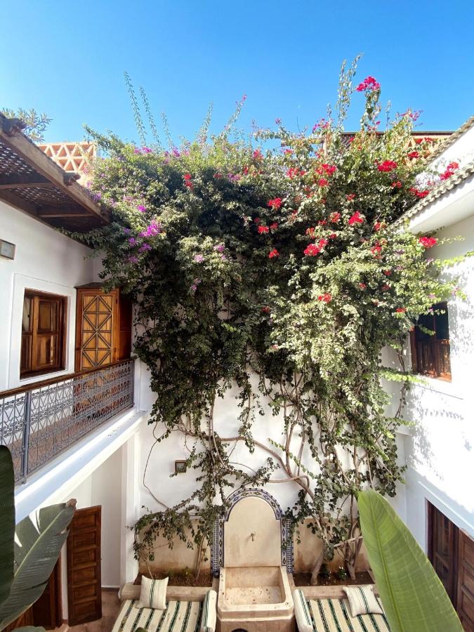 Momo House- Riad Momo