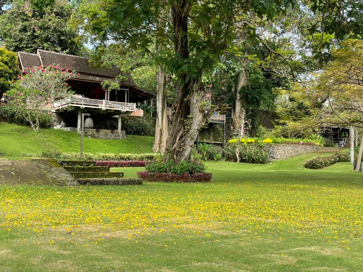 Margot Guest House - 4