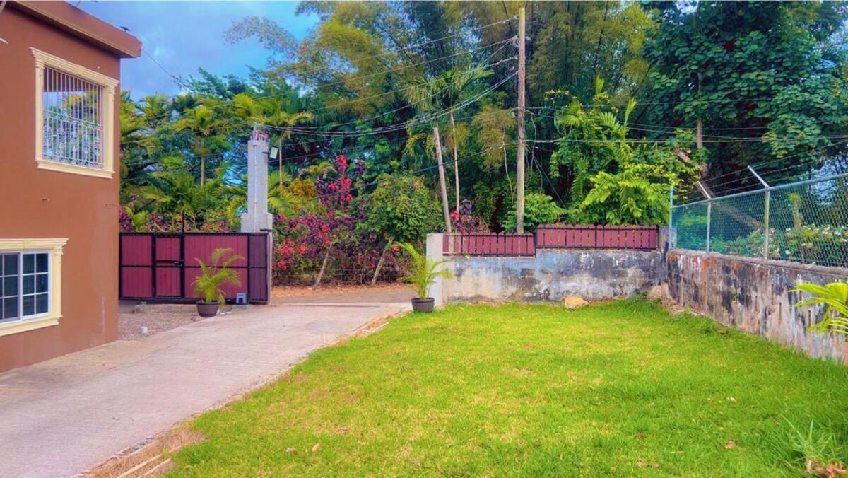 Wild Orchid Bloom-Blue Lemon - 2