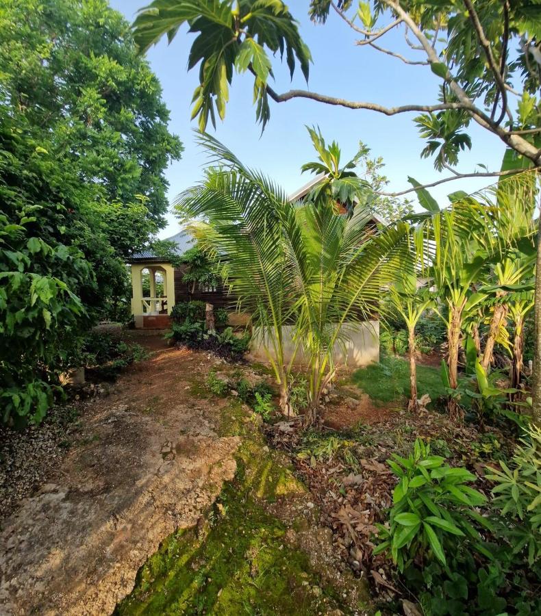 Negril Humble Cabin - 5