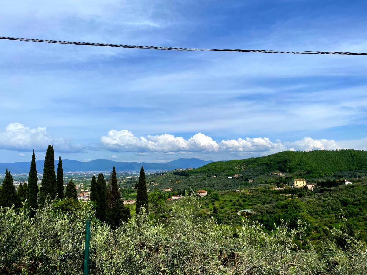 La casa della Bice - 2