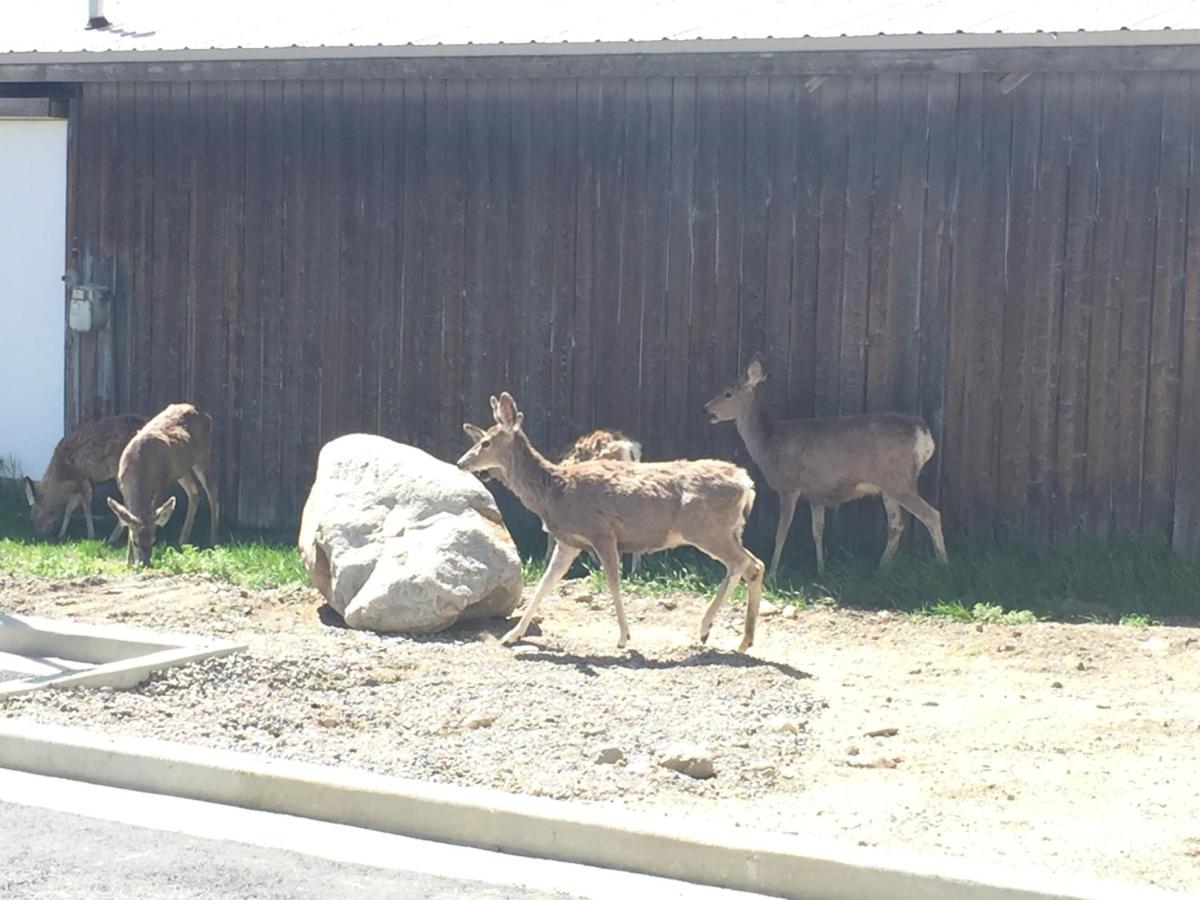 Yellowstone Big Rock Inn — photo 22