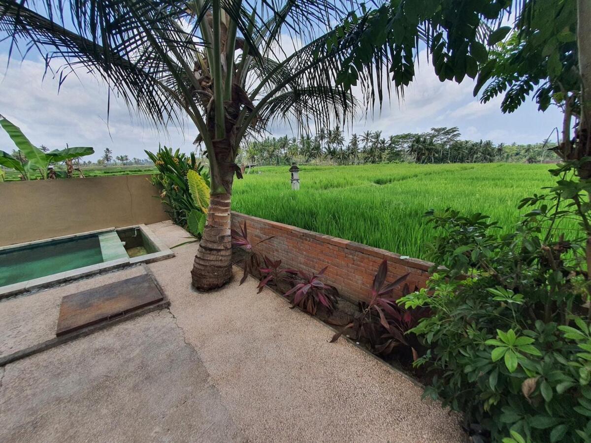 Tirtam One Bedroom Private pool W Kitchenette - 5