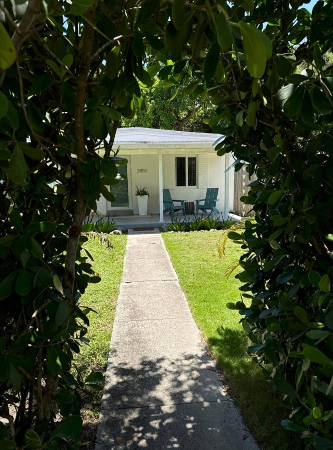 Avocado House - 5