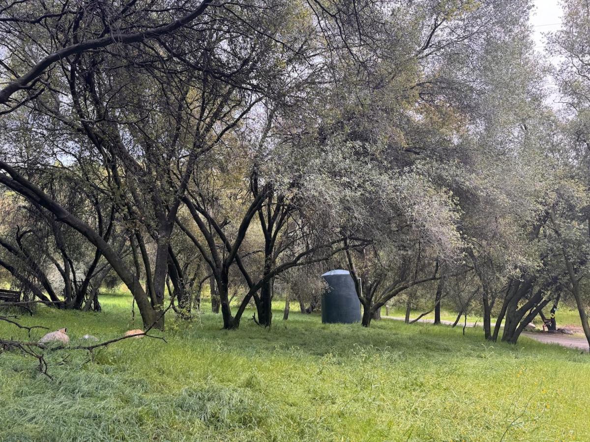 Woodpecker Hollow — photo 8