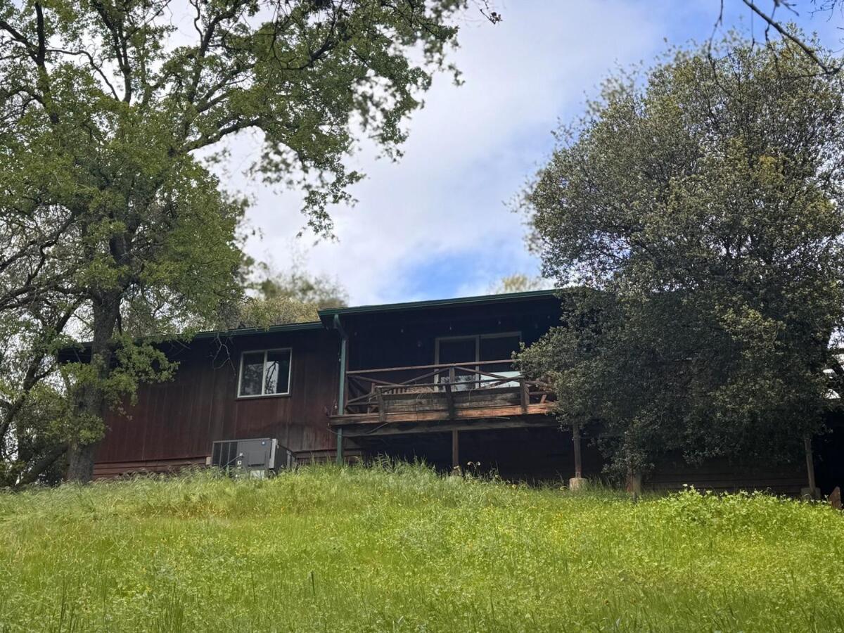 Woodpecker Hollow — photo 14