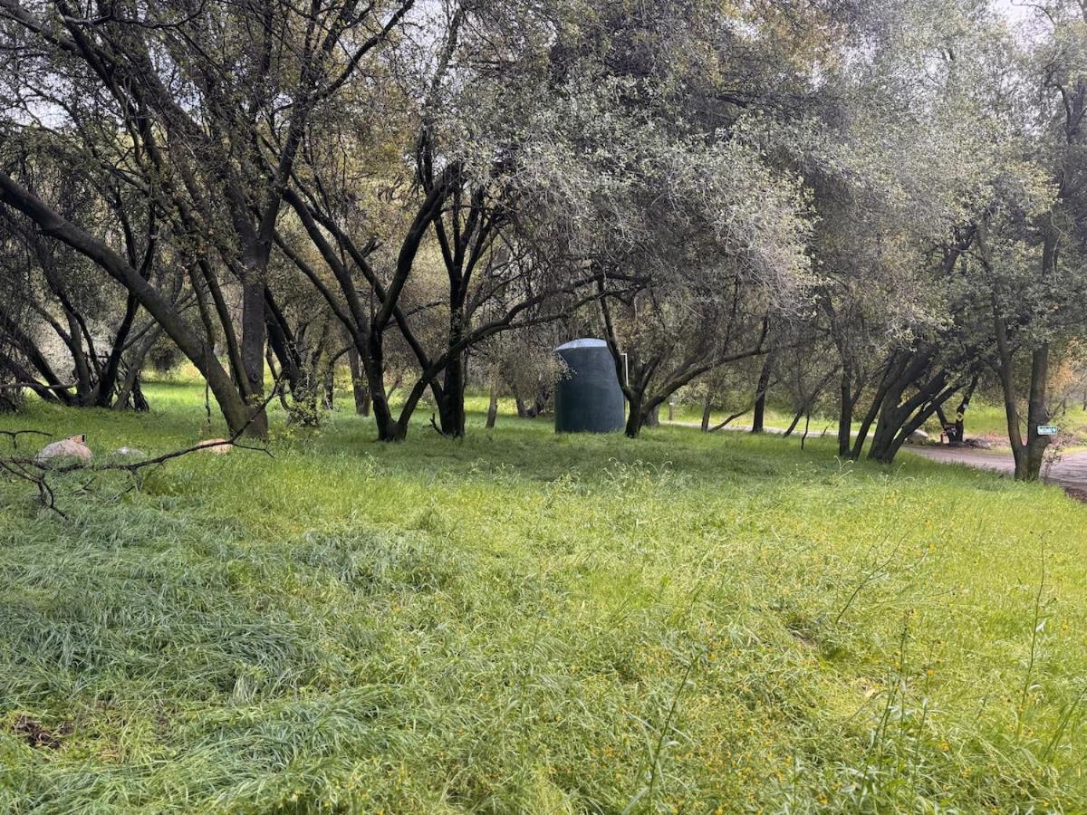 Woodpecker Hollow — photo 17