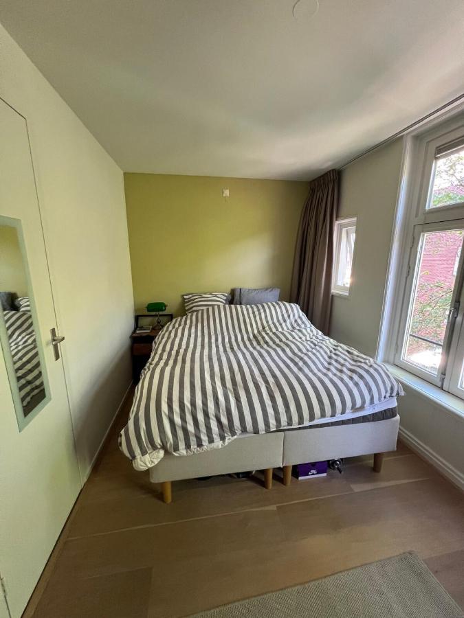 Museum district, beautiful renovated house - 5