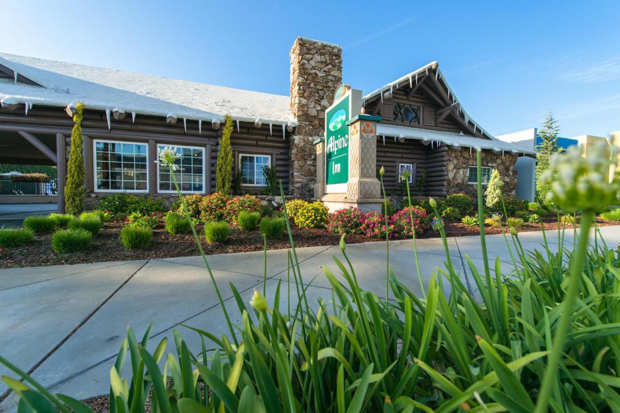 Alpine Inn near Convention Center and the Park — photo 20