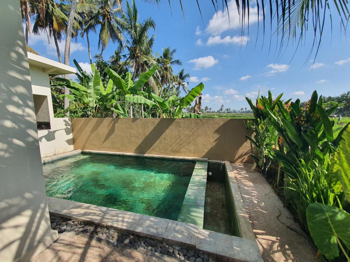 Tirtam One Bedroom Private pool W Kitchenette - 4