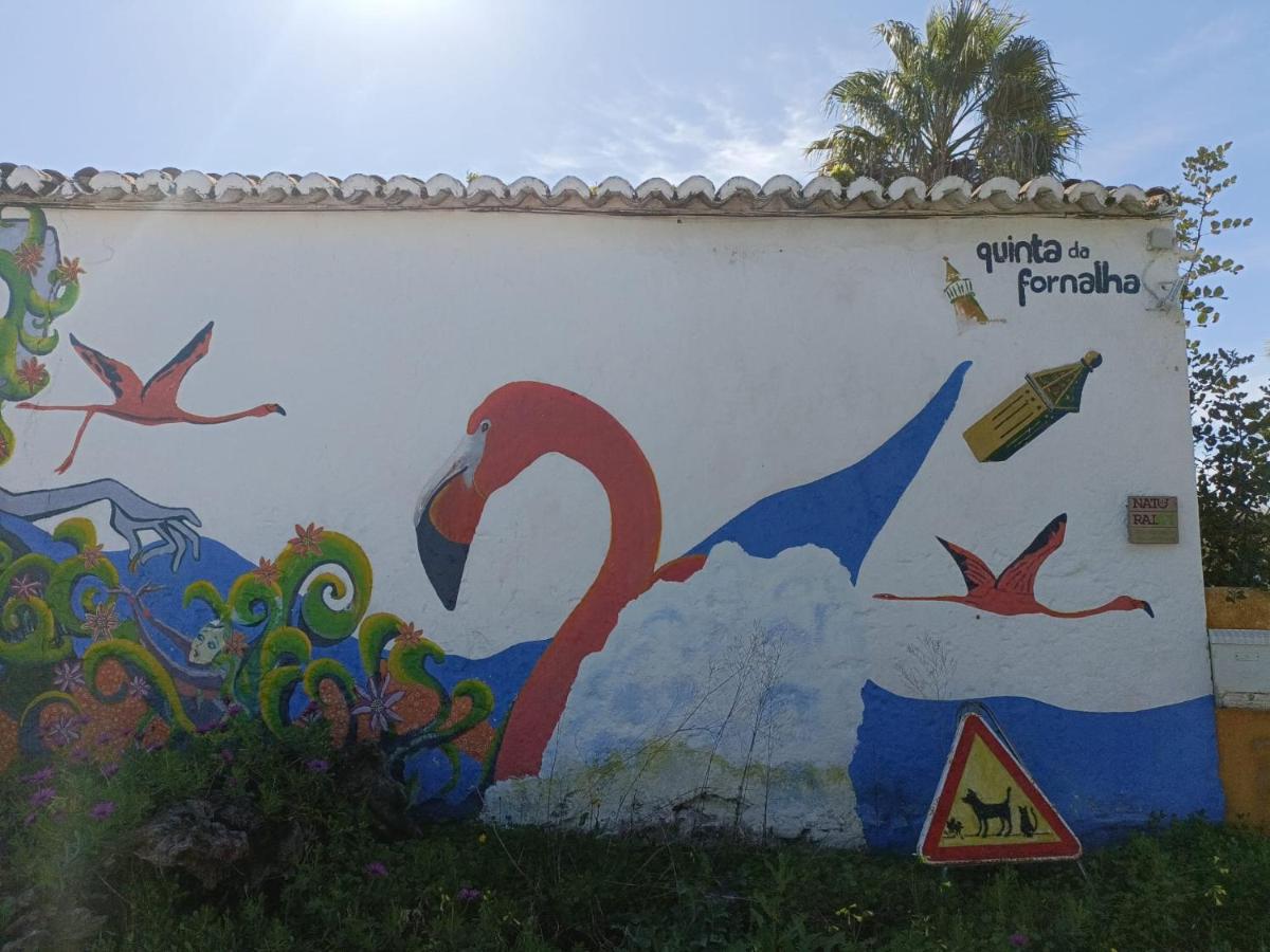 Quinta da Fornalha - Santuario Agroecologico - 5