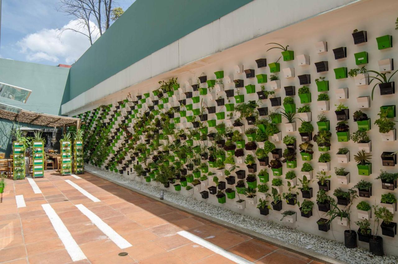 Biohotel Organic Suites photo