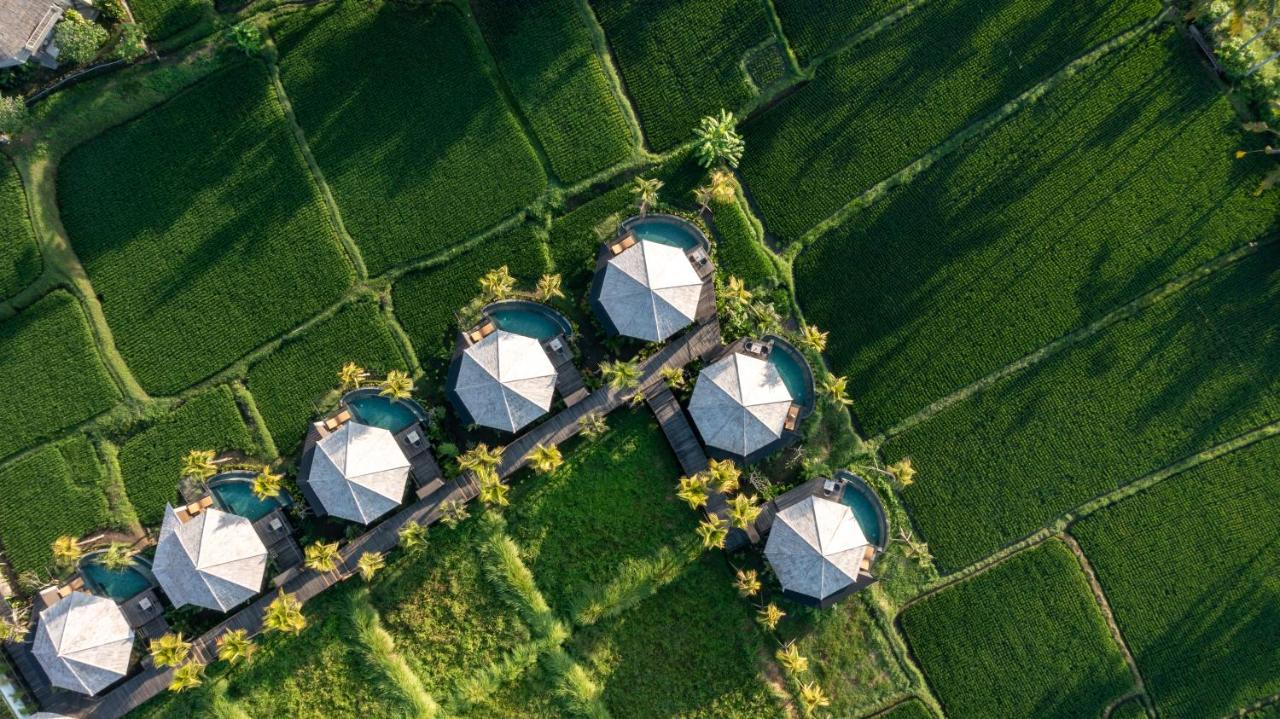 thewakanda Resort A Pramana Experience - 3