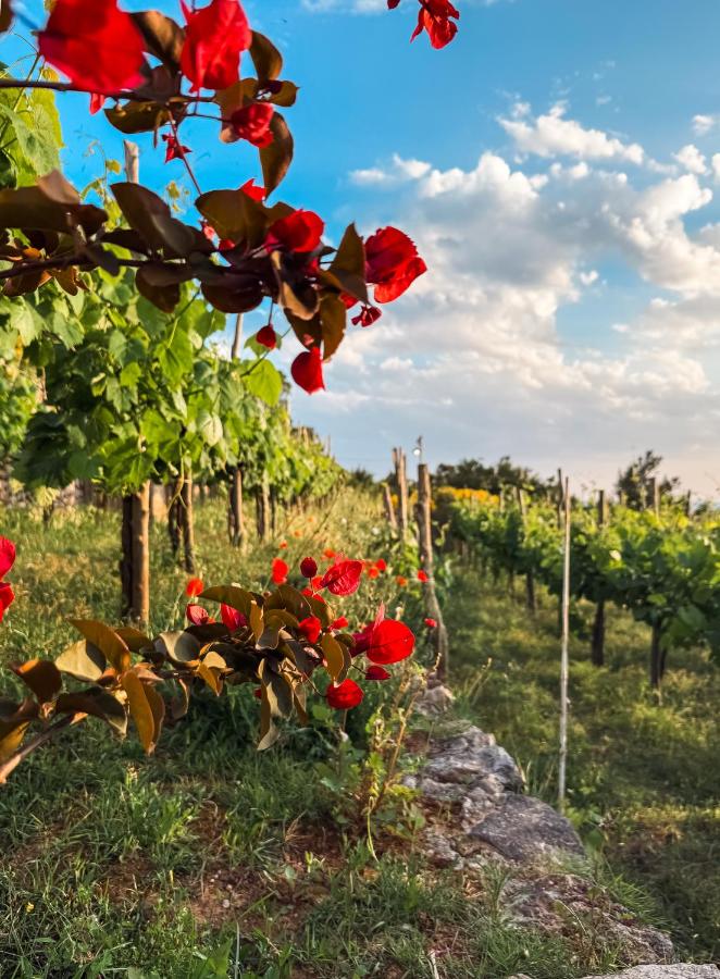 Chalet Azzurro Capri - 3