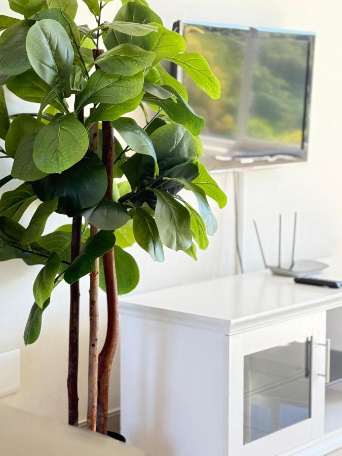 Charming Studio In THE Heart Of Green Point. - 5