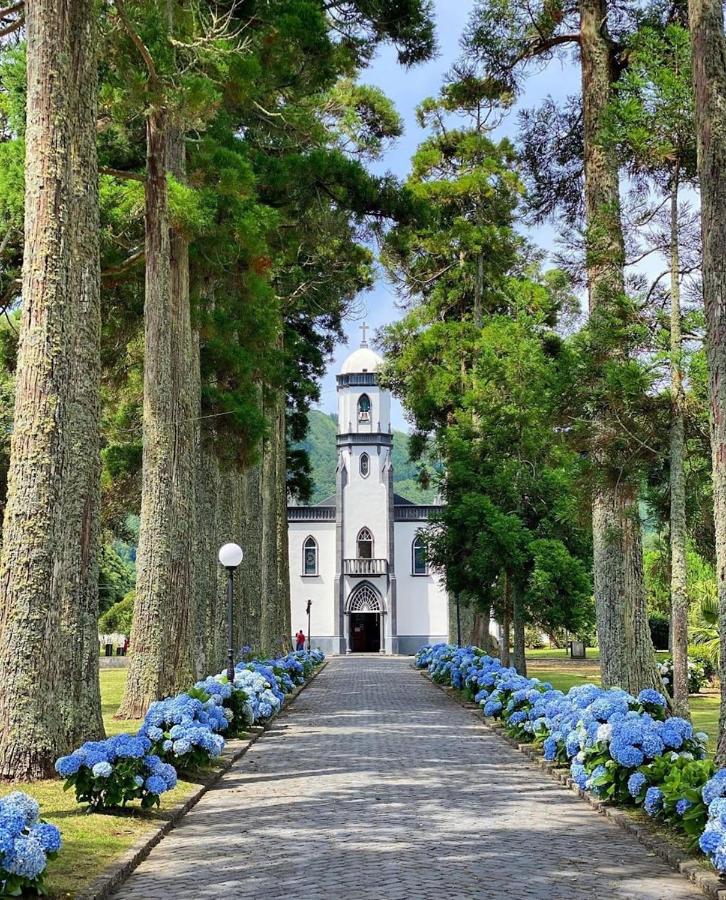 The Cedar Tree House - 5