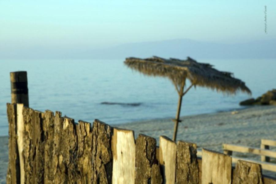 Hotel Barbieri photo