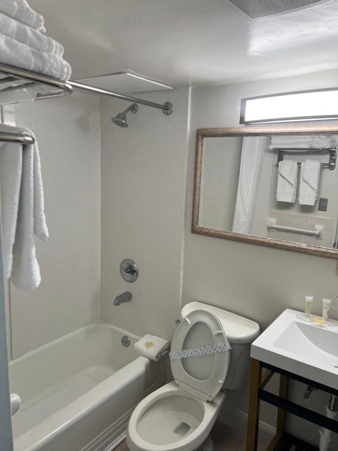 Seahawk Motel — photo 10
