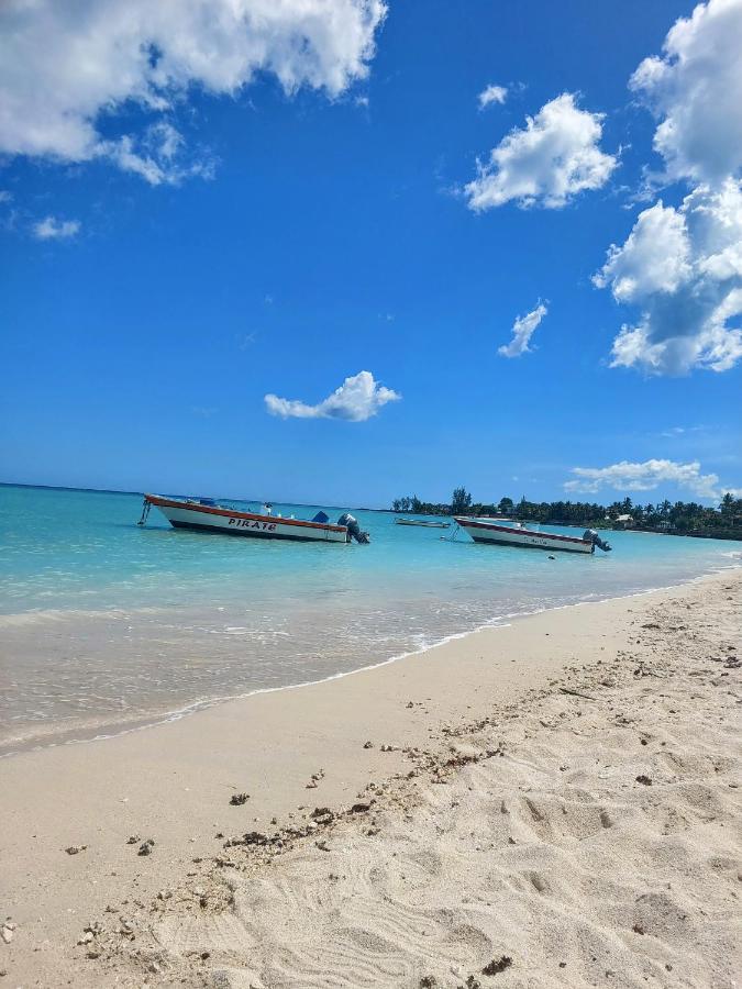 Studio de la plage d'Albion - 5