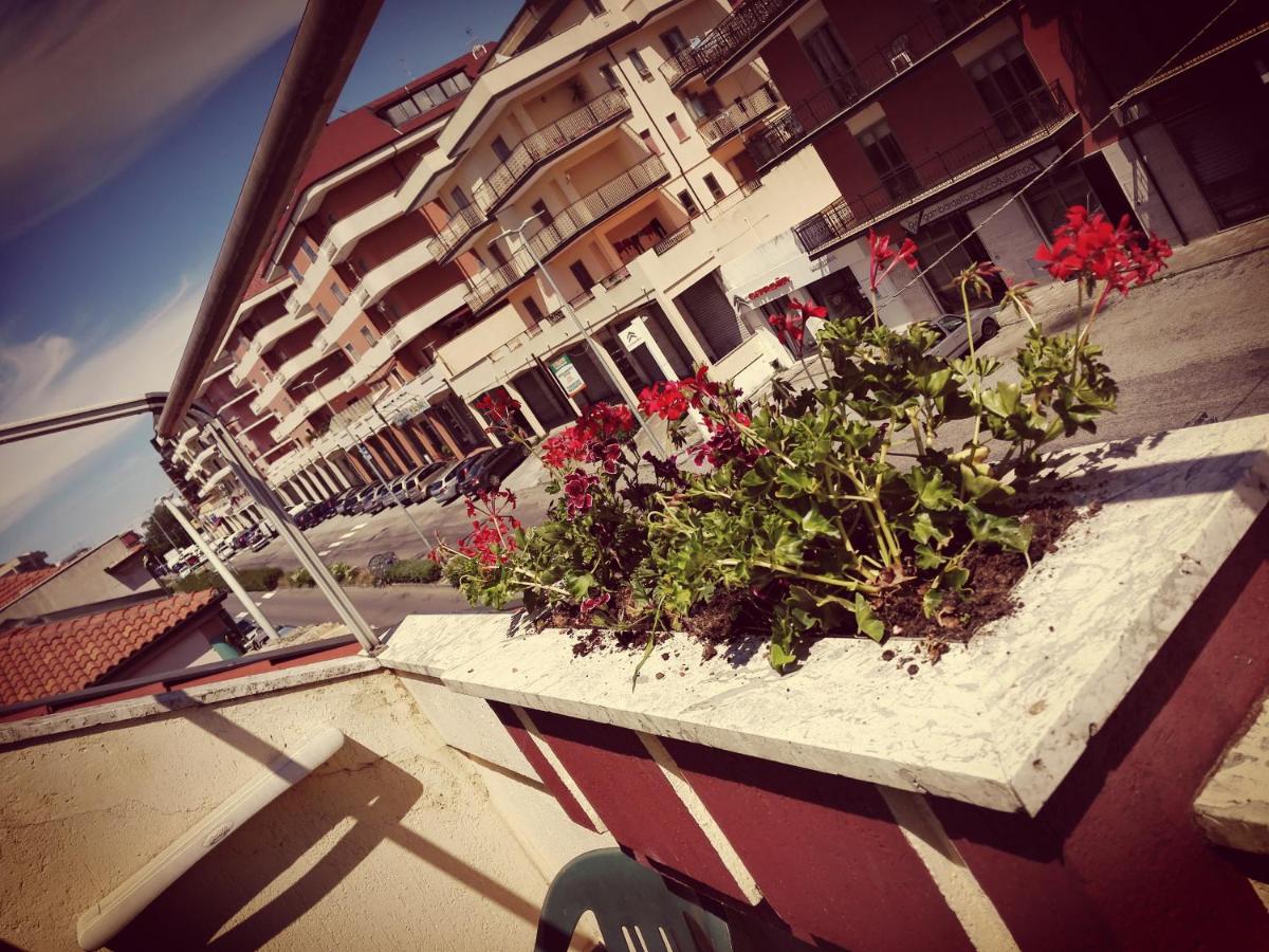 Albergo B&B Ristorante Grace photo