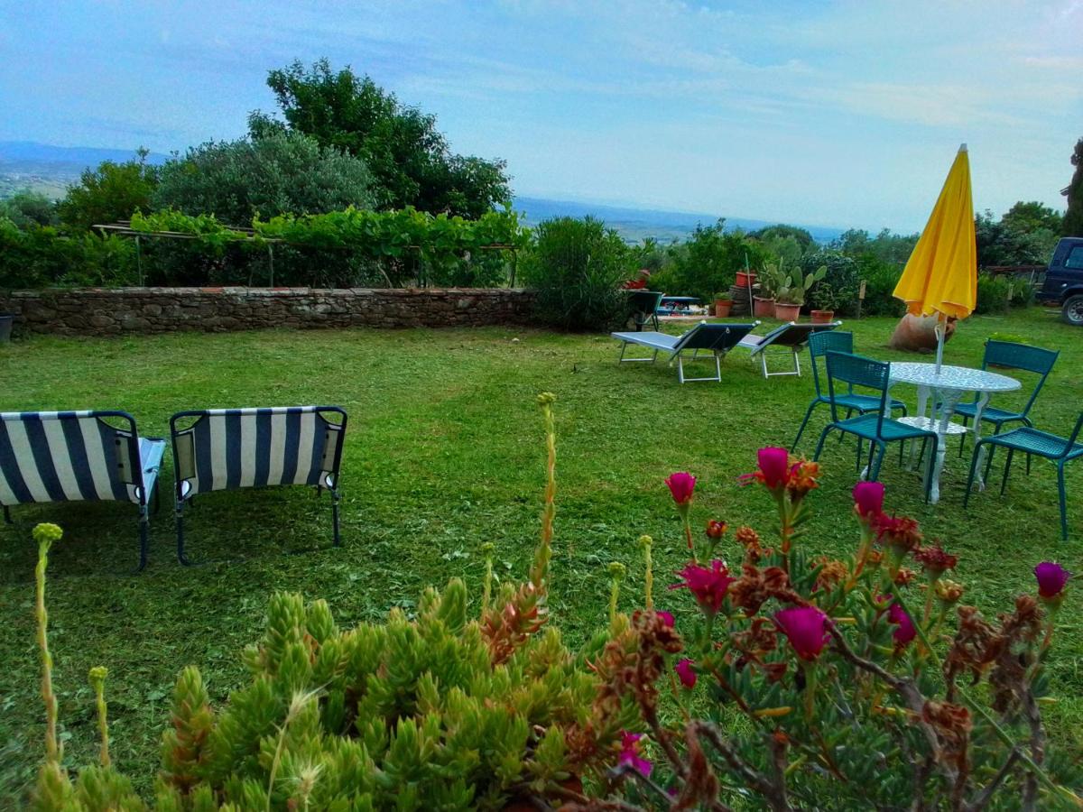 Poderino La Noce - 5