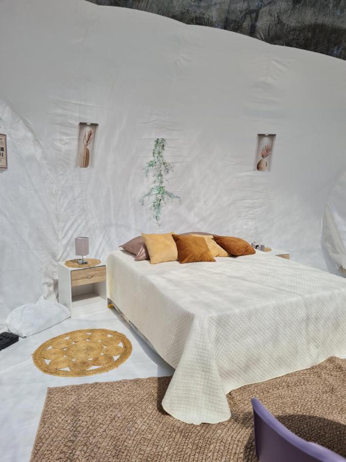 Dormir dans une bulle Grandiose, avec Spa, la tête dans les étoiles