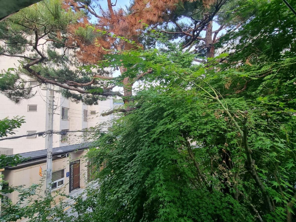 Cheongdam Urban Forest house - 2