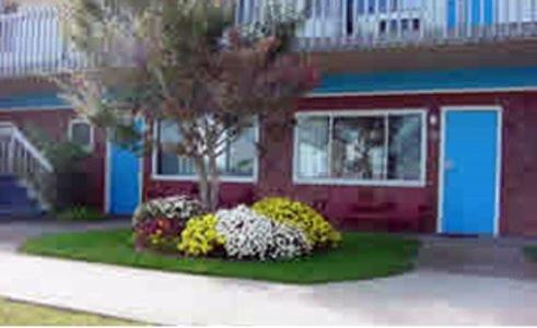Blue Sea Motor Inn — photo 17