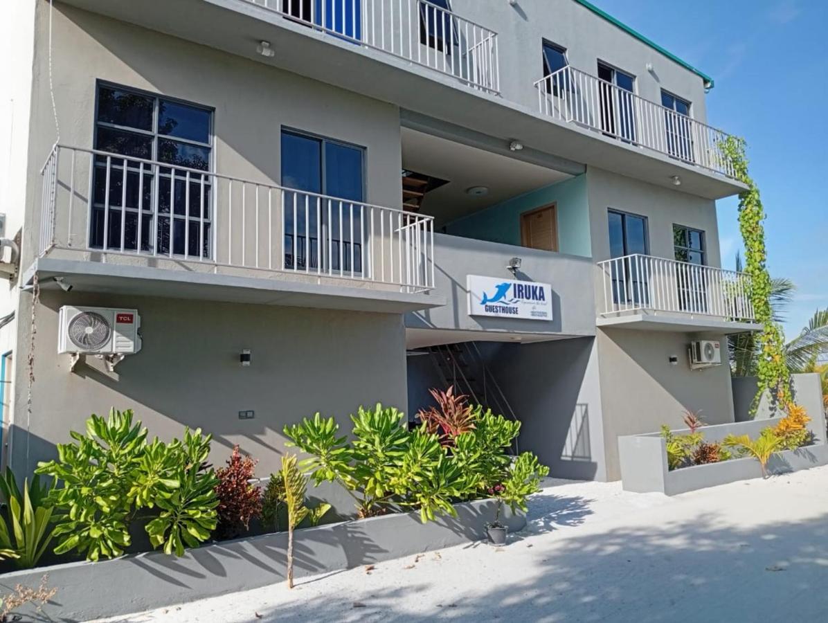 iruka guesthouse - 5