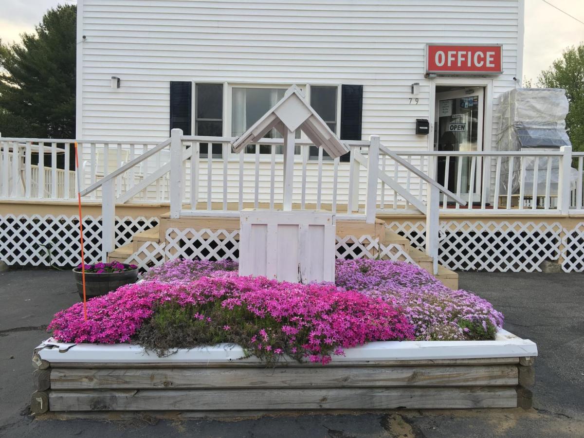 Knotty Pine Motel — photo 12