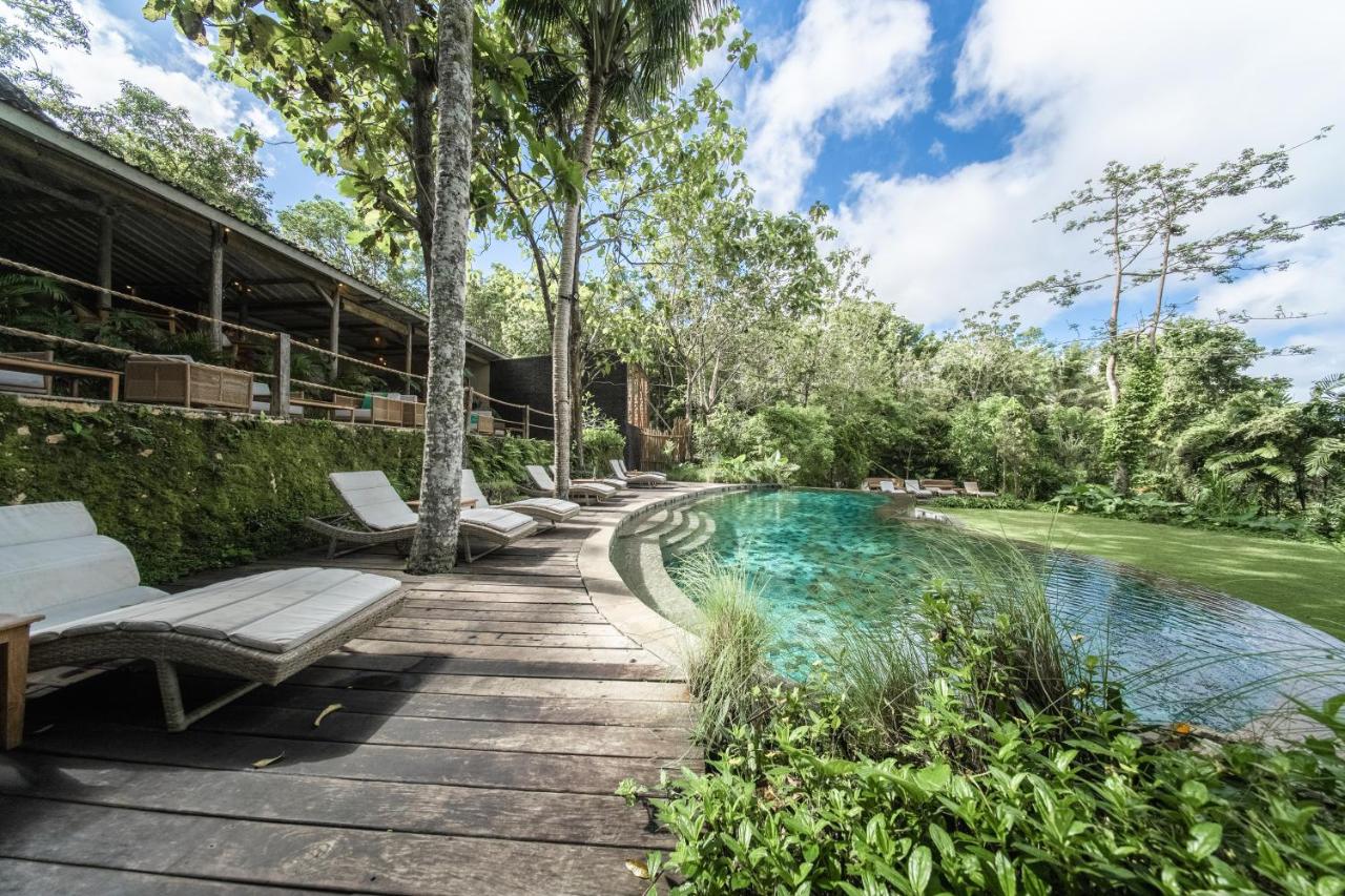 The Mesare Eco Resort - 4