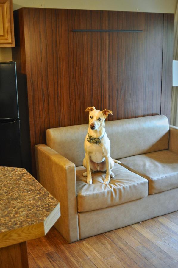 The Christie Lodge – All Suite Property Vail Valley/Beaver Creek — photo 11