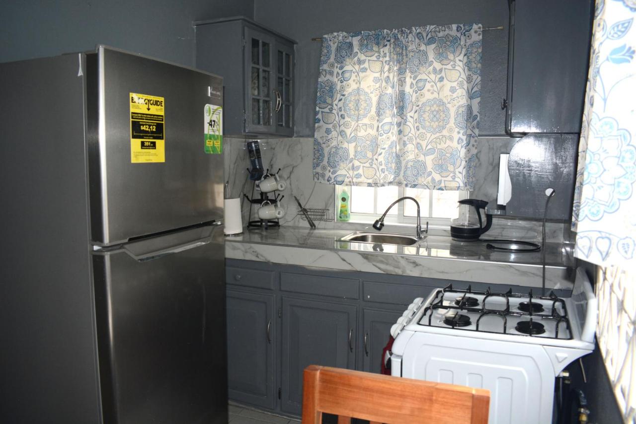 Snuggled Oasis Studio