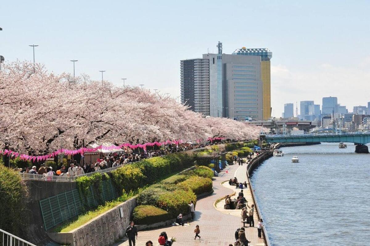 602Room, 5 mins walk from JR Kinshicho North Exit!Near Asakusa & Sky Tree!! The house is on the 6th floor with an elevator, convenient transportation There is a balcony and the room is soundproofed - 3