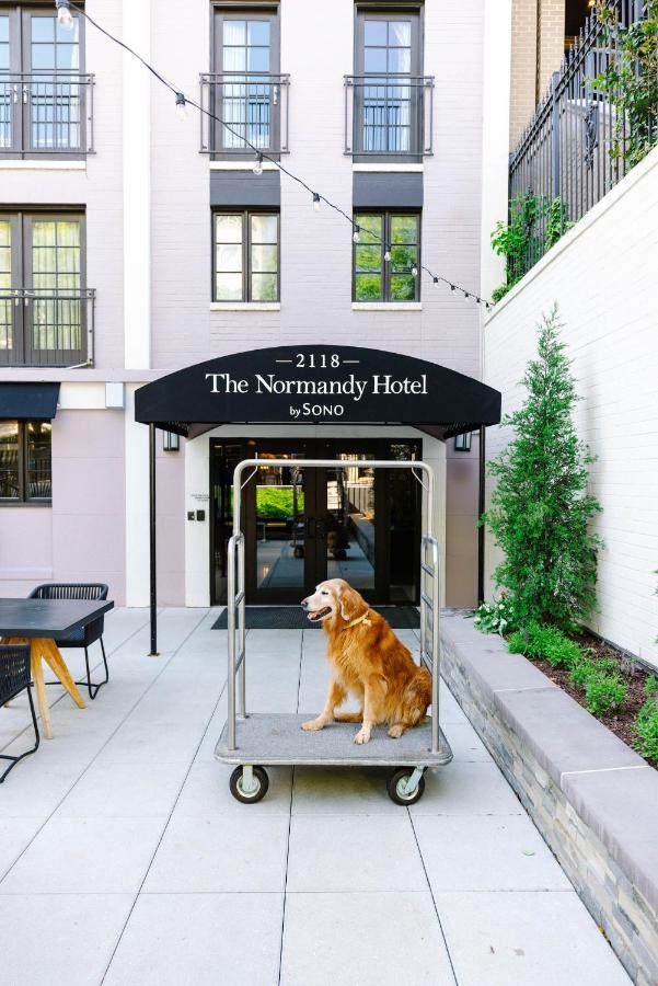 The Normandy Hotel — photo 14