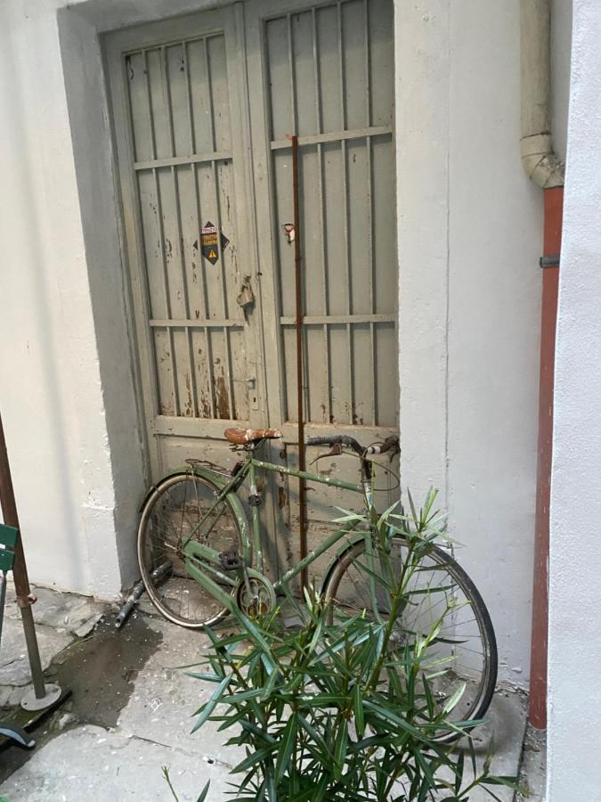 Urban Oasis, Home-Triest com - 3