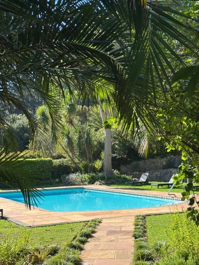 Houtkapperspoort-Cottage King Protea-19Constantia-Nek - 3