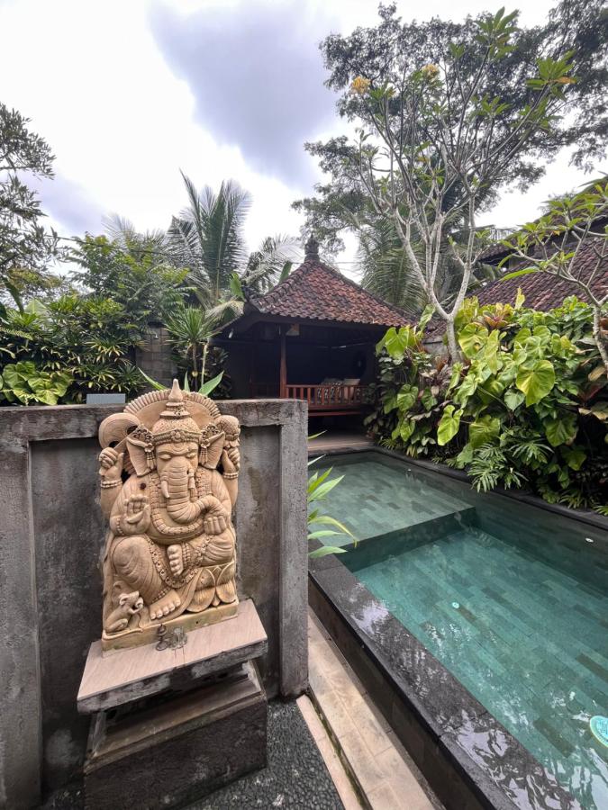 Badra House Bougainvillea - 4