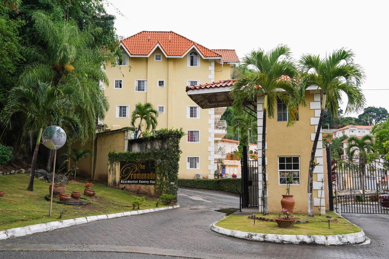 Serenity on Sunset Ridge - 5